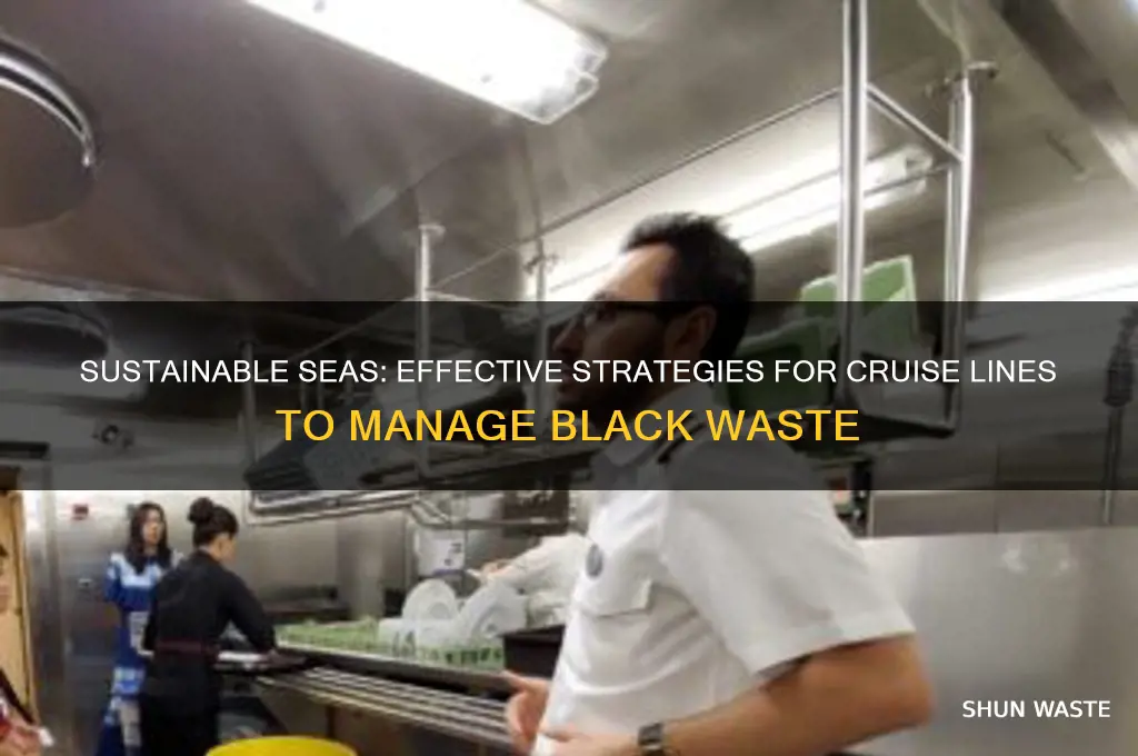 how should cruise lines address black waste