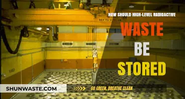 Safe and Sustainable Solutions for High-Level Radioactive Waste Storage