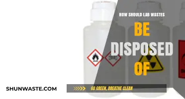 Safe and Sustainable Lab Waste Disposal: Best Practices and Guidelines