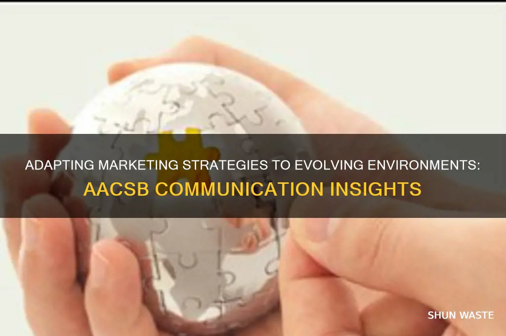 how should marketers respond to the changing environment aacsb communication