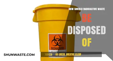 Safe and Sustainable Solutions for Radioactive Waste Disposal