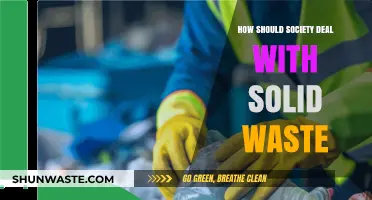 Sustainable Solutions: Managing Solid Waste for a Greener, Healthier Society