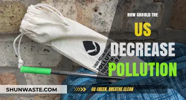 Reducing US Pollution: Strategies for a Sustainable Future