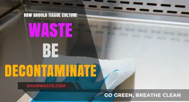 Effective Decontamination Methods for Tissue Culture Waste Disposal