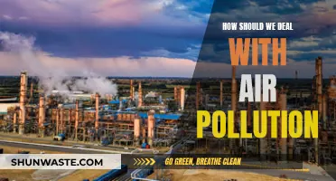 Air Pollution: Strategies for a Cleaner Tomorrow