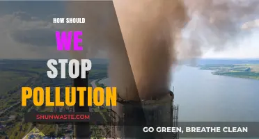 Preventing Pollution: Steps to Take Today