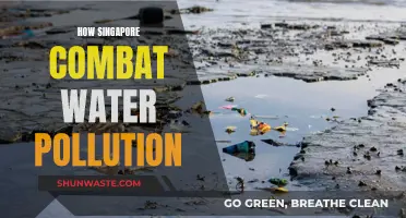 Singapore's Green Revolution: Unveiling Water Pollution Solutions