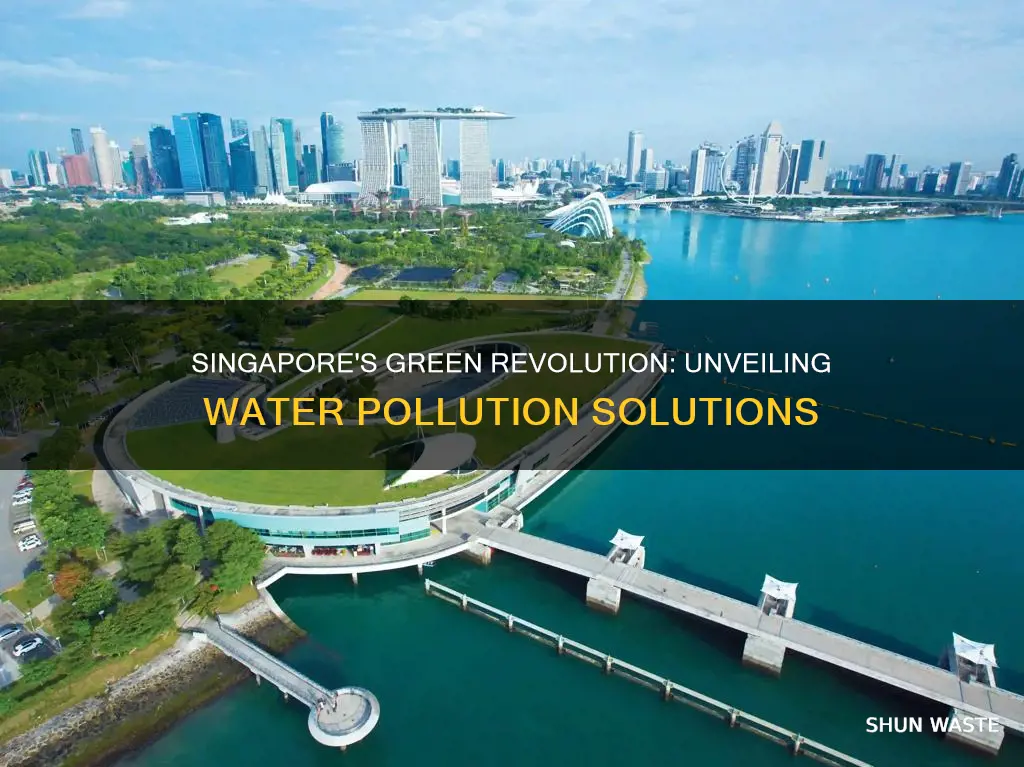 how singapore combat water pollution