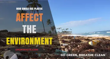 Single-Use Plastic's Devastating Impact on Our Fragile Environment