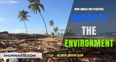 Single-Use Plastics: Unseen Environmental Threats and Lasting Ecological Damage