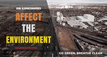 Slaughterhouses' Environmental Impact: Pollution, Emissions, and Ecological Consequences