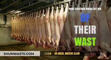 Slaughterhouse Waste Management: Effective Disposal and Environmental Strategies