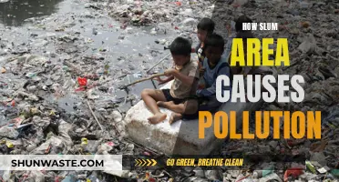 Slum Areas: A Hidden Environmental Crisis