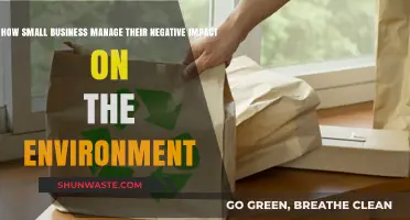 Sustainable Strategies: How Small Businesses Minimize Environmental Footprint