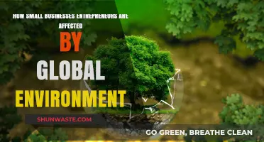 Global Shifts: How Small Businesses Navigate Environmental Challenges