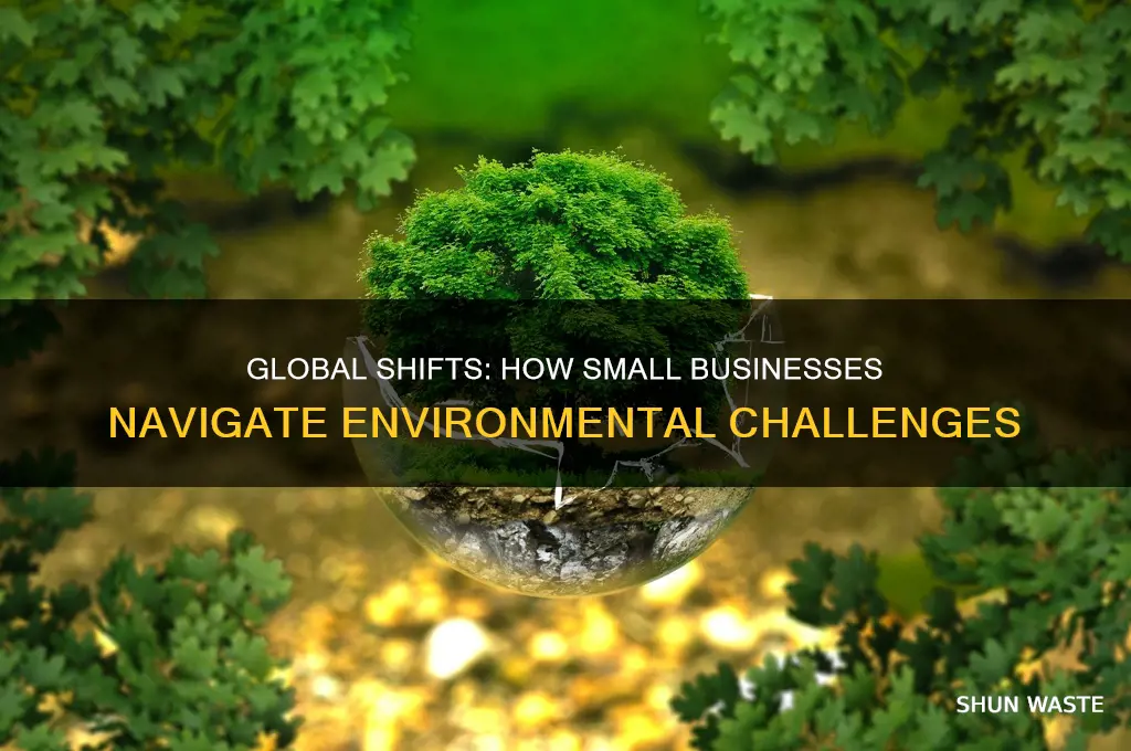 how small businesses entrepreneurs are affected by global environment