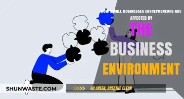 Navigating Challenges: How Business Environments Impact Small Entrepreneurs