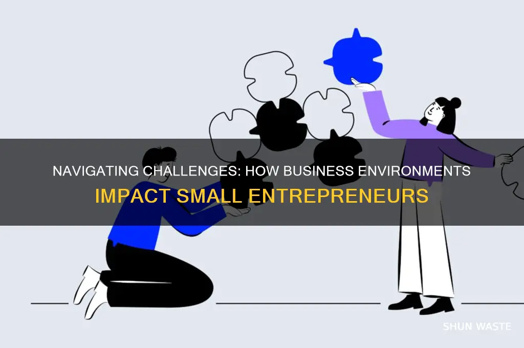 how small businesses entrepreneurs are affected by the business environment