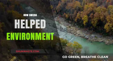 SMCRA's Impact: Transforming Mining Practices for a Greener Environment