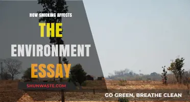 Smoking's Environmental Impact: Pollution, Deforestation, and Climate Change Explained