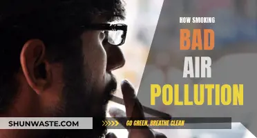 Air Pollution and Smoking: A Dangerous Mix