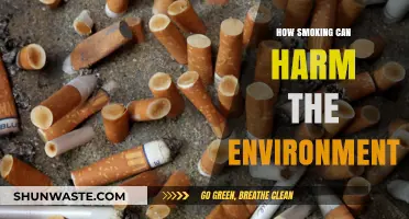 Smoking's Hidden Impact: Environmental Damage Beyond Health Risks