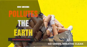 Smoking's Impact: Earth Pollution and Environmental Harm