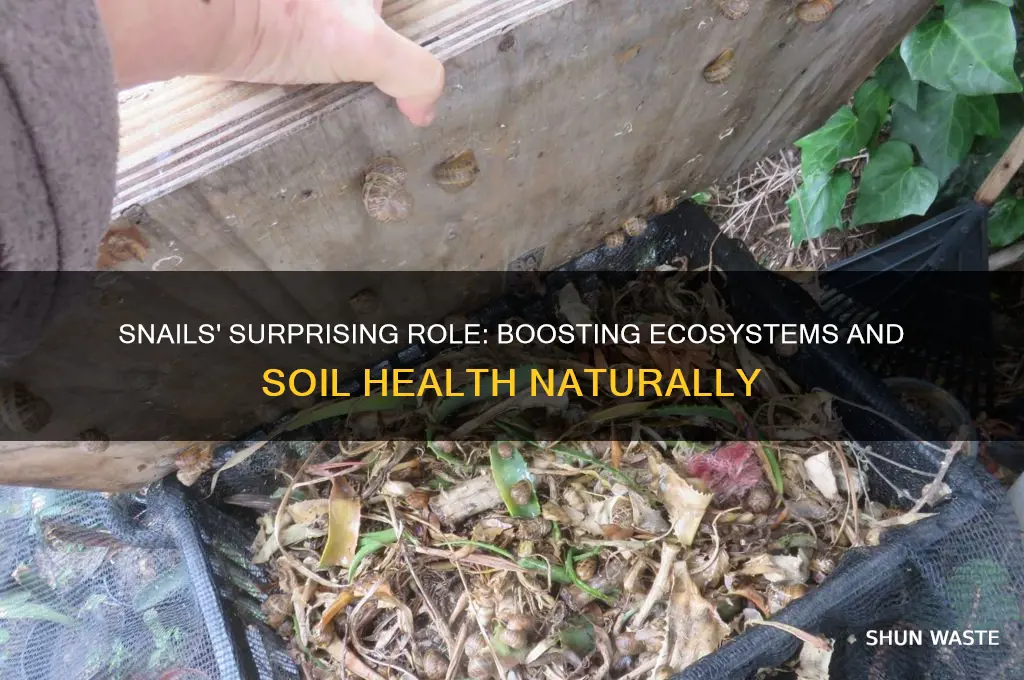 how snails help the environment