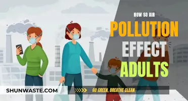 Air Pollution: A Silent Killer Among Adults