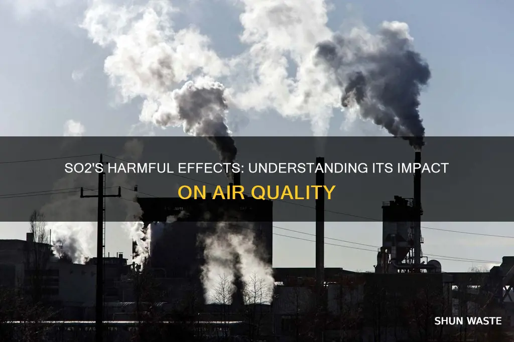 how so2 is an air pollutant