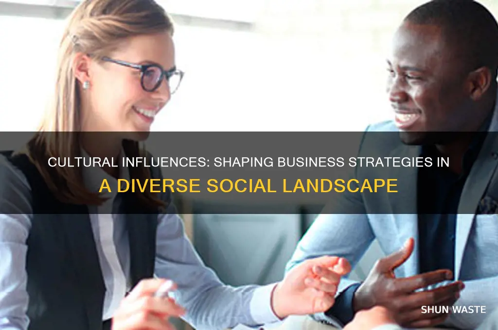 how social cultural environment affect business