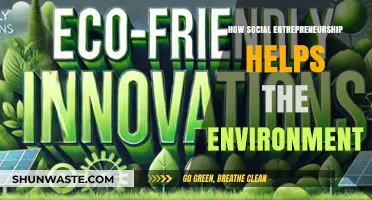 Social Entrepreneurship: Driving Eco-Friendly Innovations for a Sustainable Future