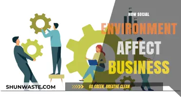 Social Environment's Impact: Shaping Business Success and Challenges