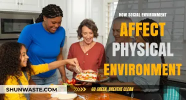 Social Dynamics Shaping Our Physical World: Interconnected Impacts Explored