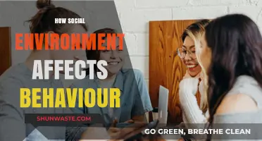 Social Surroundings: Shaping Behavior Through Environmental Influences and Interactions