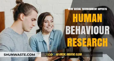 Social Environment's Impact on Human Behavior: Insights from Research
