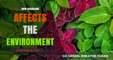 Socialism's Environmental Impact: Balancing Economy, Ecology, and Equity