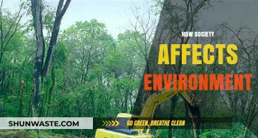 Societal Choices, Environmental Consequences: Exploring the Impact of Human Actions