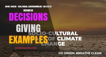 Socio-Cultural Influences: Shaping Business Strategies and Outcomes Globally
