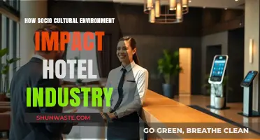 Socio-Cultural Influences: Shaping the Hotel Industry's Guest Experience