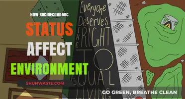 Socioeconomic Status and Its Impact on Environmental Sustainability