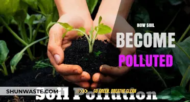 Soil Pollution: Understanding the Contamination Process