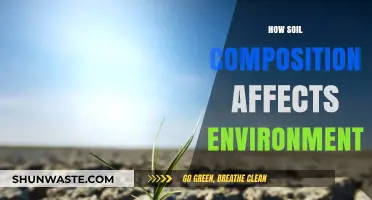 Soil Composition's Impact: Shaping Ecosystems and Environmental Health