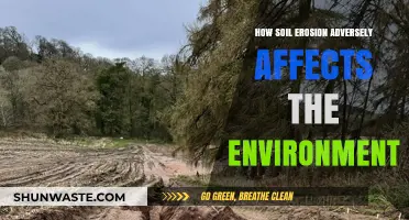 Soil Erosion's Devastating Impact on Ecosystems and Environmental Health