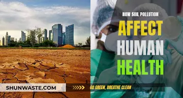 Soil Pollution's Impact: Human Health Hazards