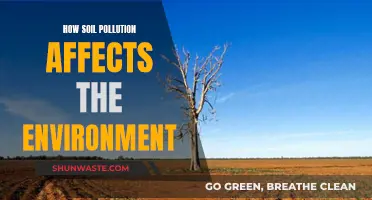 Soil Pollution's Environmental Impact and Its Devastating Effects