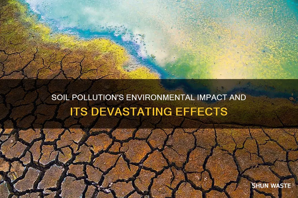 how soil pollution affects the environment