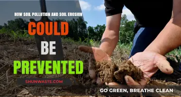 Protecting Our Soils: Preventing Pollution and Erosion