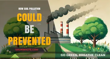 Preventing Soil Pollution: Strategies for a Sustainable Future