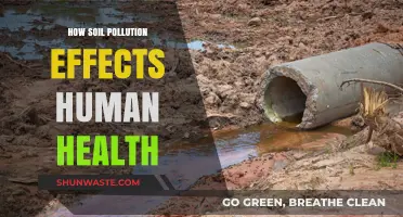 Soil Pollution: Its Impact on Human Health